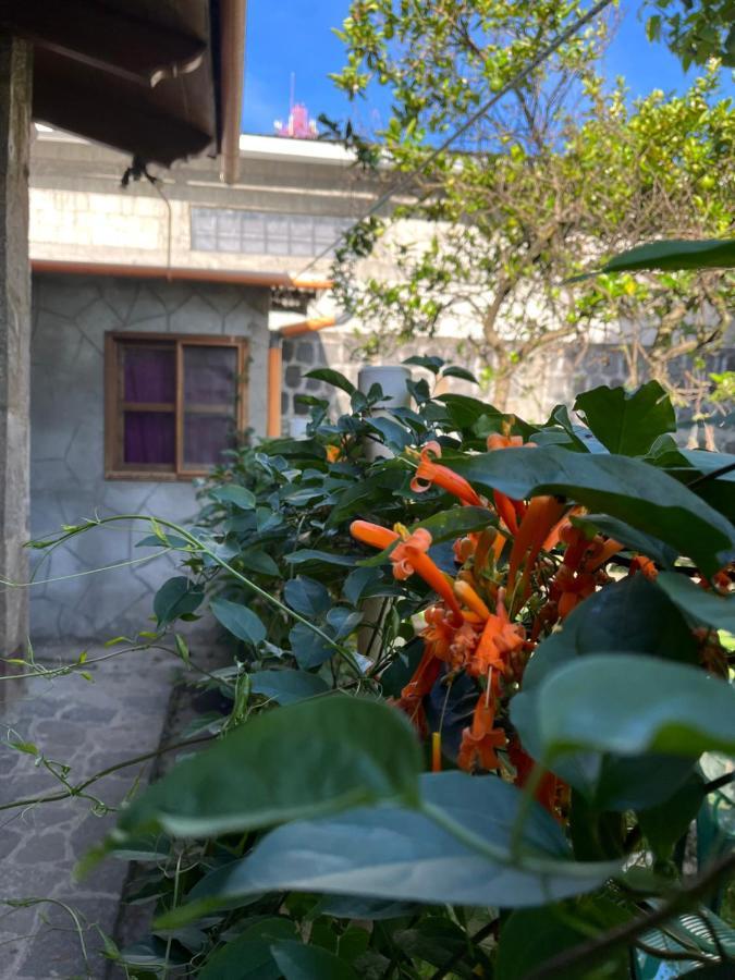 Casa Qatzij - Guest House, Lake Atitlan San Lucas Tolimán Exterior photo